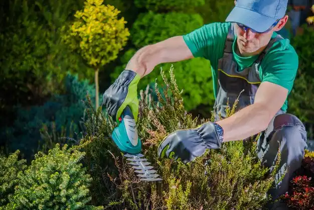 landscaping services Shelton